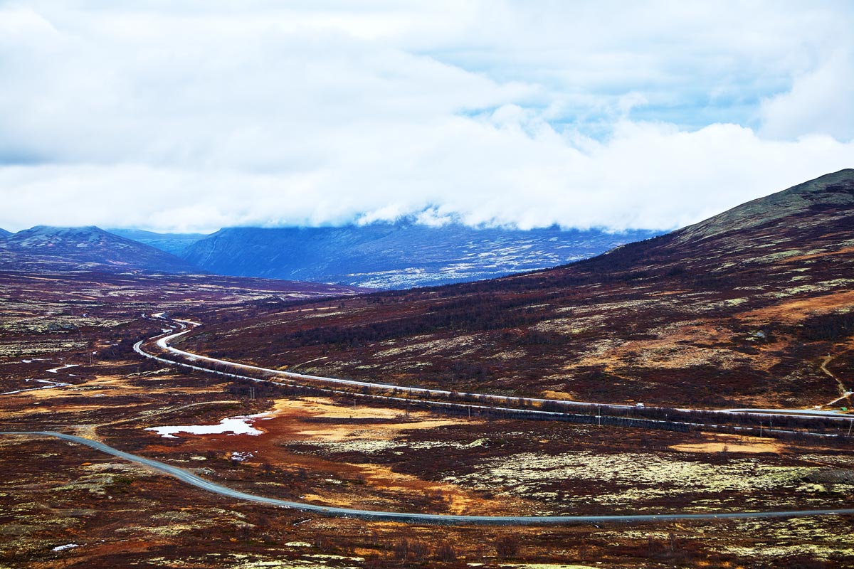 Dovrefjell Norwegen