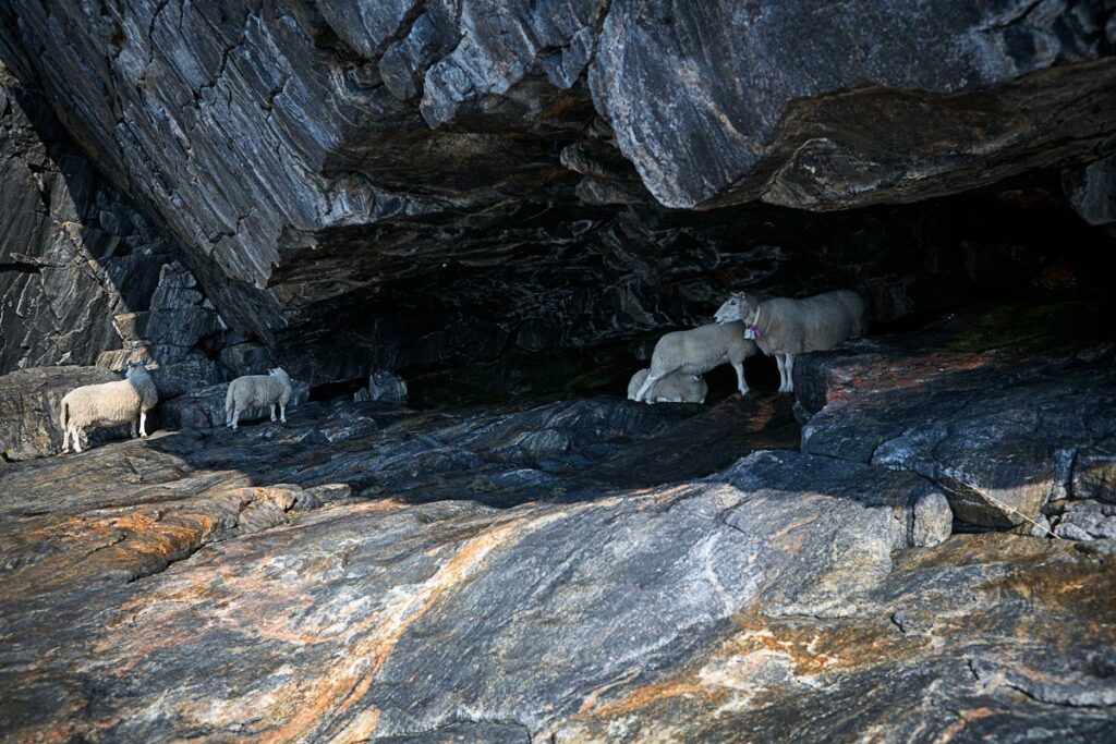 Kunst am Wegesrand - Rastplatz Bukkekjerka an der Nationalen Landschaftsroute Andøya, die sakrale Grotte der Samis